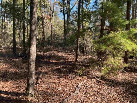Photo of TBD Smokehouse Farms Drive, Greenville, FL 32331 (MLS # 394469)
