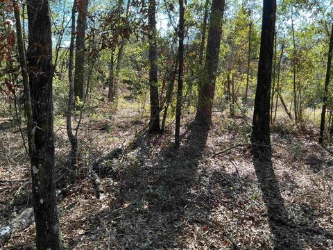 Tiny photo for TBD Smokehouse Farms Drive, Greenville, FL 32331 (MLS # 394469)