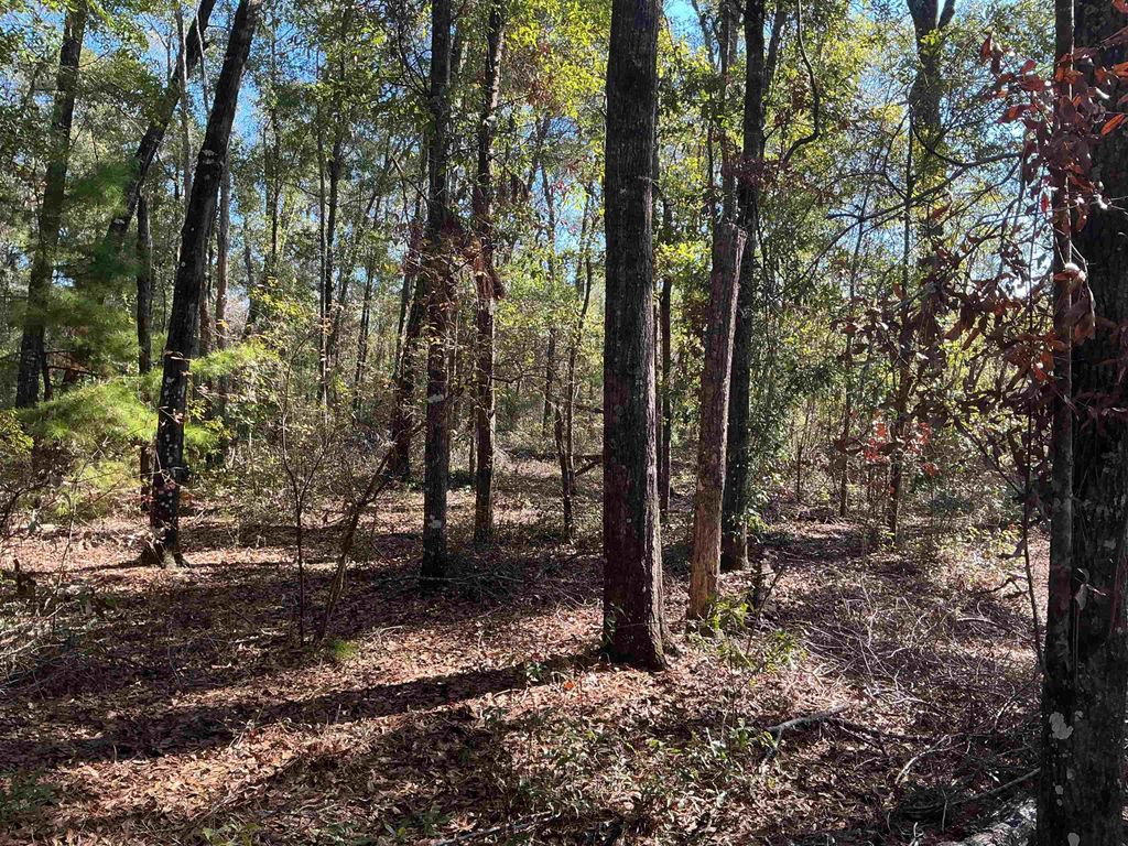 Photo of TBD Smokehouse Farms Drive, Greenville, FL 32331 (MLS # 394469)