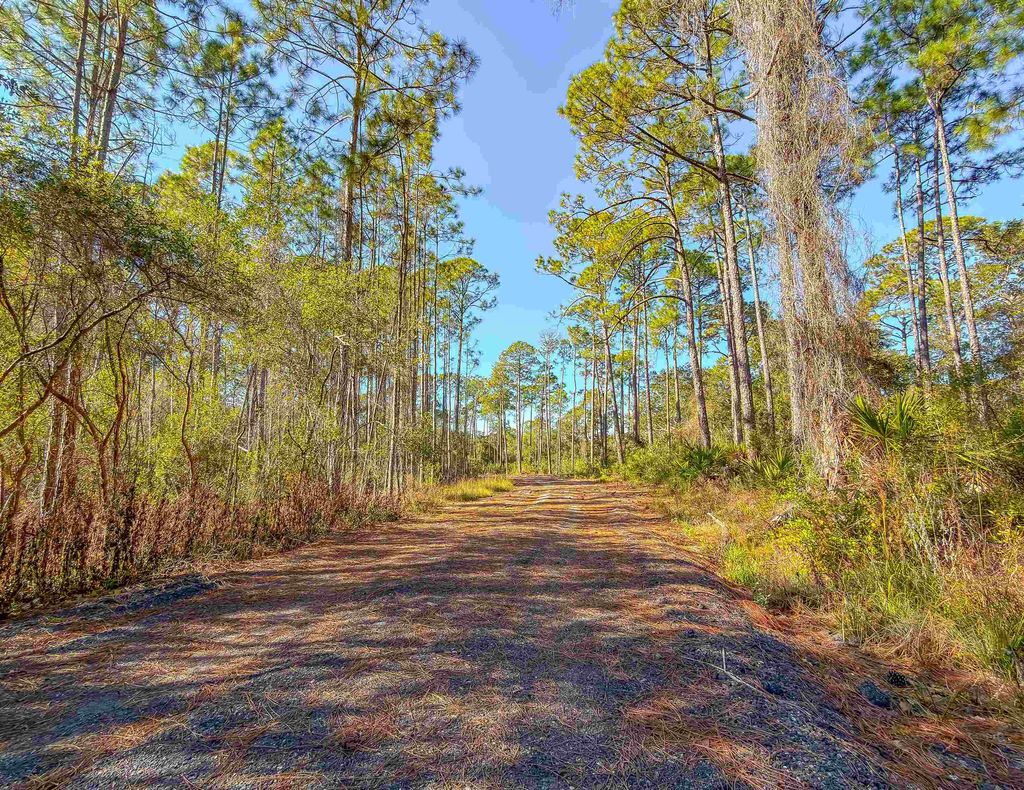 Photo of 120 Bay Magnolia Ln, Carrabelle, FL 32222 (MLS # 395614)