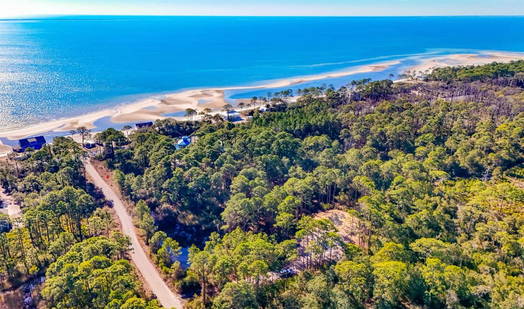 Photo of 120 Bay Magnolia Ln, Carrabelle, FL 32222 (MLS # 395614)