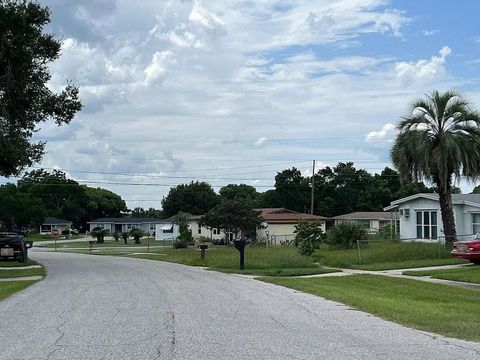 Tiny photo for 802 Crawford Street, Other Florida, FL 32725 (MLS # 394478)
