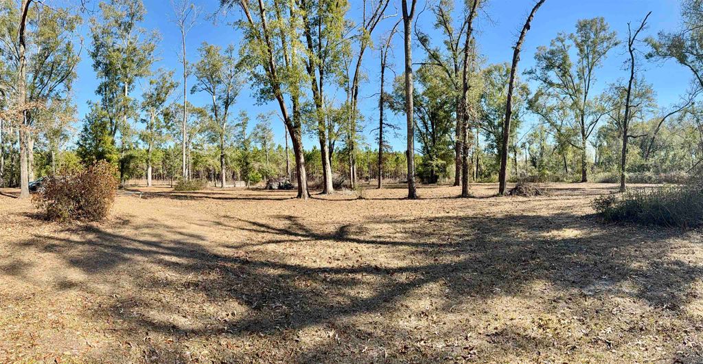 Photo of 18865 89th Road, Other Florida, FL 32062 (MLS # 395966)