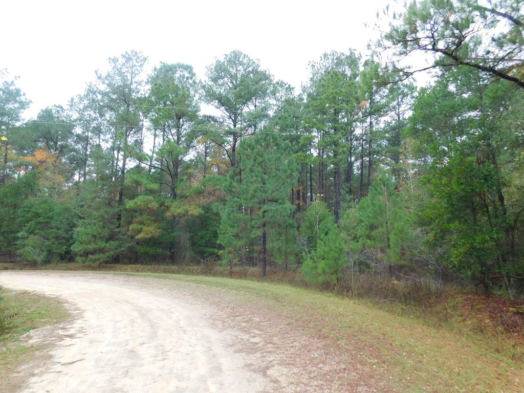 Photo of XXX Orchard Road, Quincy, FL 32351 (MLS # 398475)