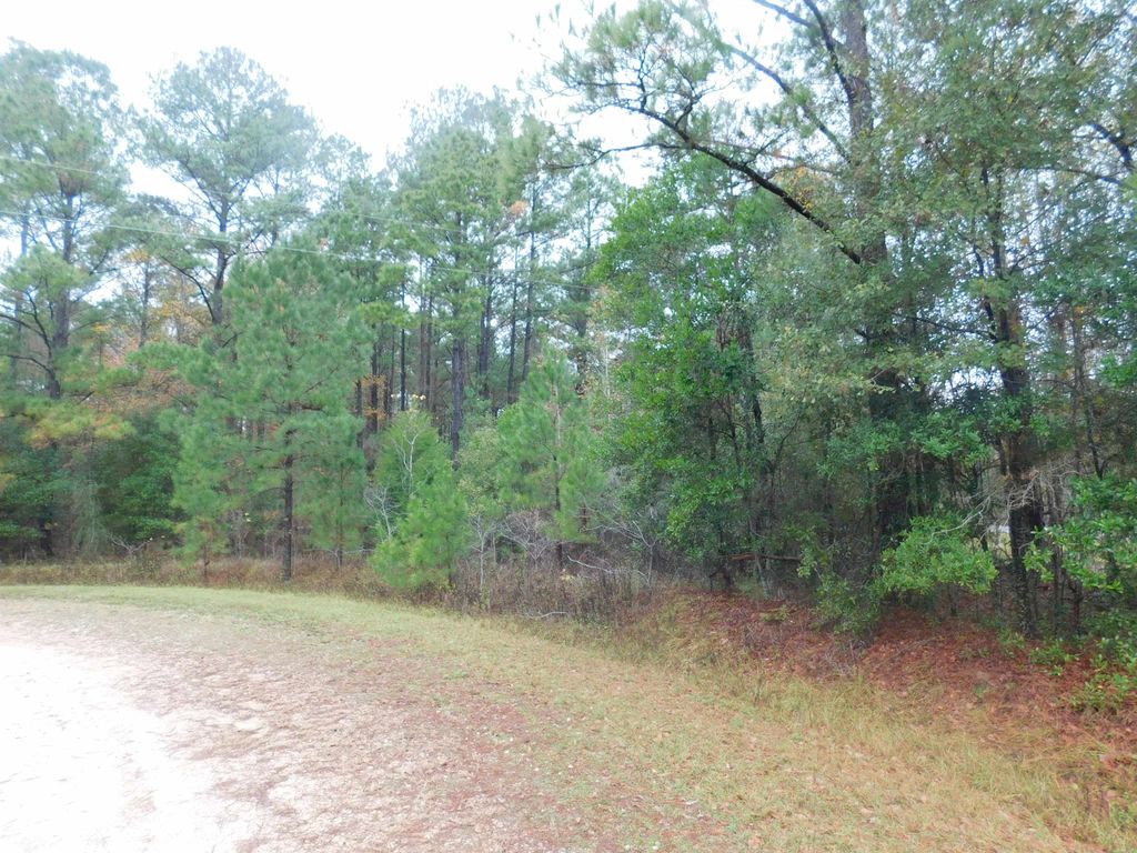 Photo of XXX Orchard Road, Quincy, FL 32351 (MLS # 398475)