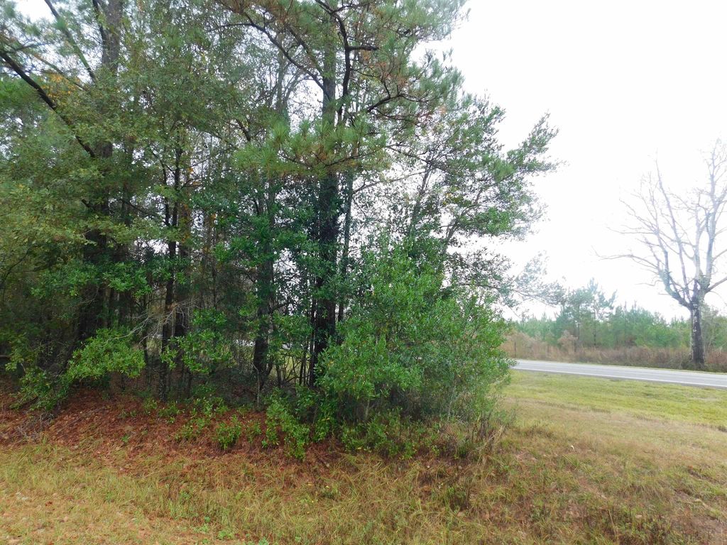 Photo of XXX Orchard Road, Quincy, FL 32351 (MLS # 398475)
