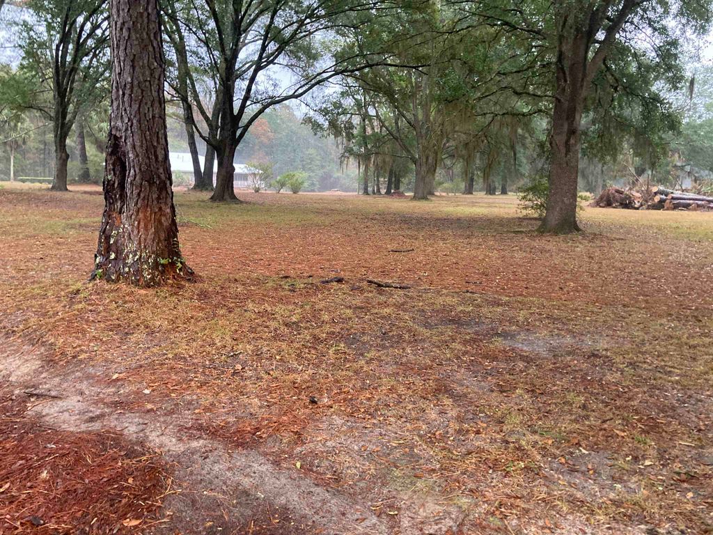 Photo of 276 E BLUE BIRD Road, Monticello, FL 32344 (MLS # 394245)