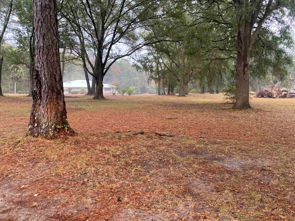 Photo of 276 E BLUE BIRD Road, Monticello, FL 32344 (MLS # 394245)