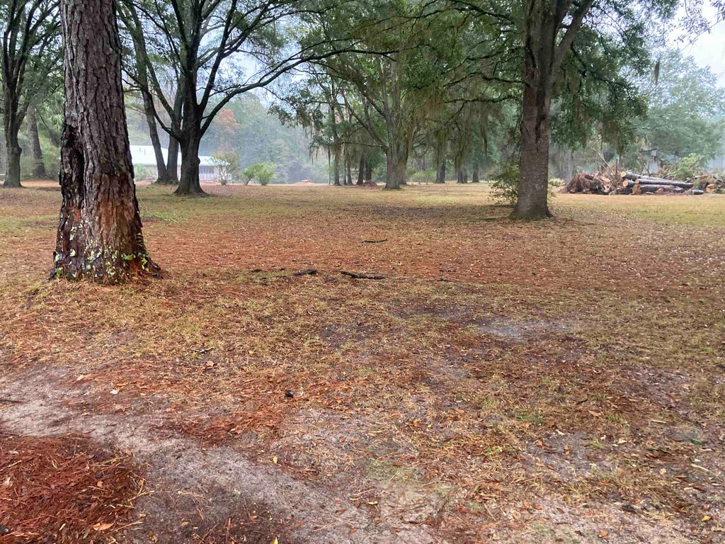 Photo of 276 E BLUE BIRD Road, Monticello, FL 32344 (MLS # 394245)