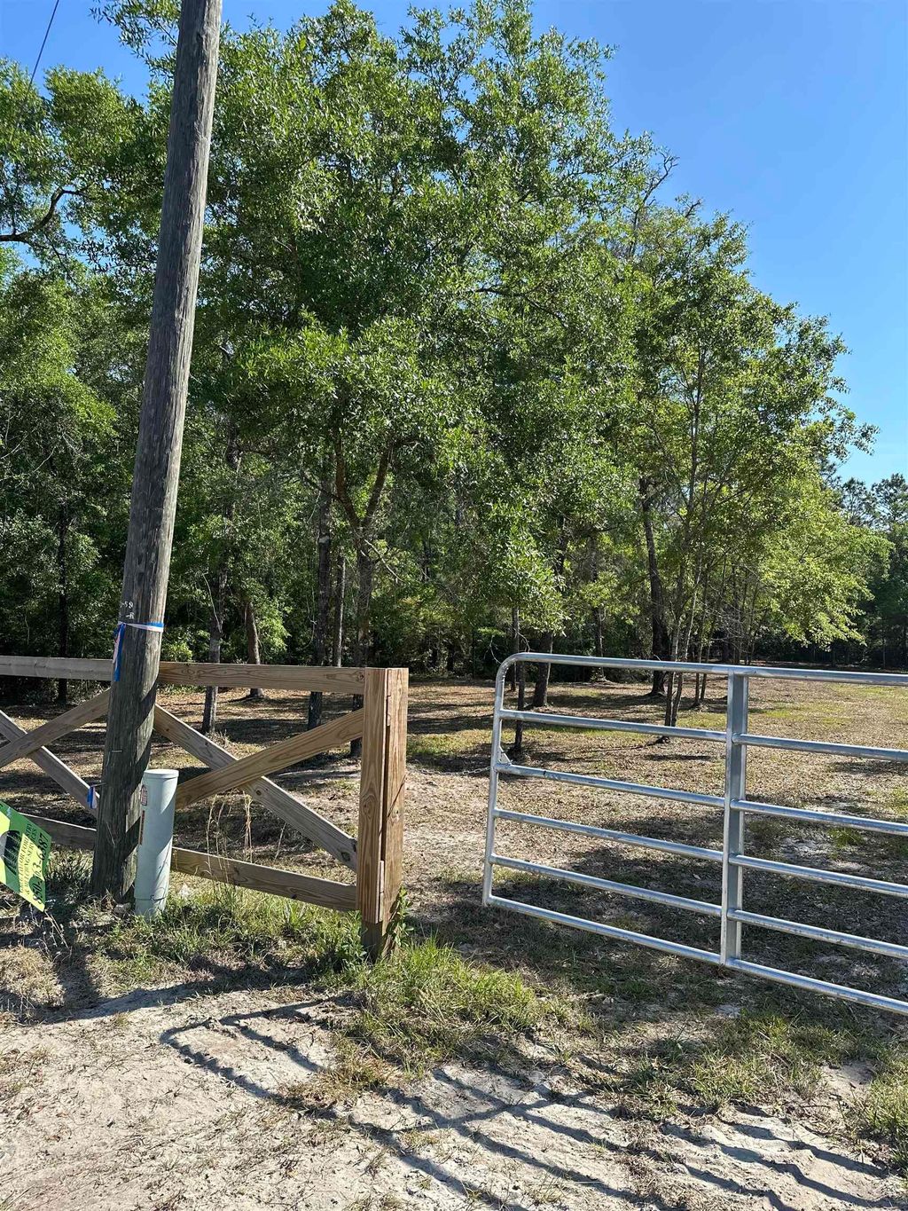 Photo of XX Metcalf Road, Crawfordville, FL 32327 (MLS # 395373)