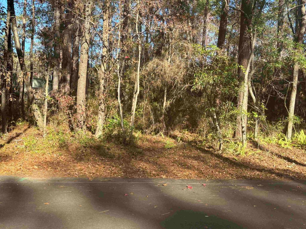 Photo of 3355 Micanopy Trail, Tallahassee, FL 32312 (MLS # 394375)