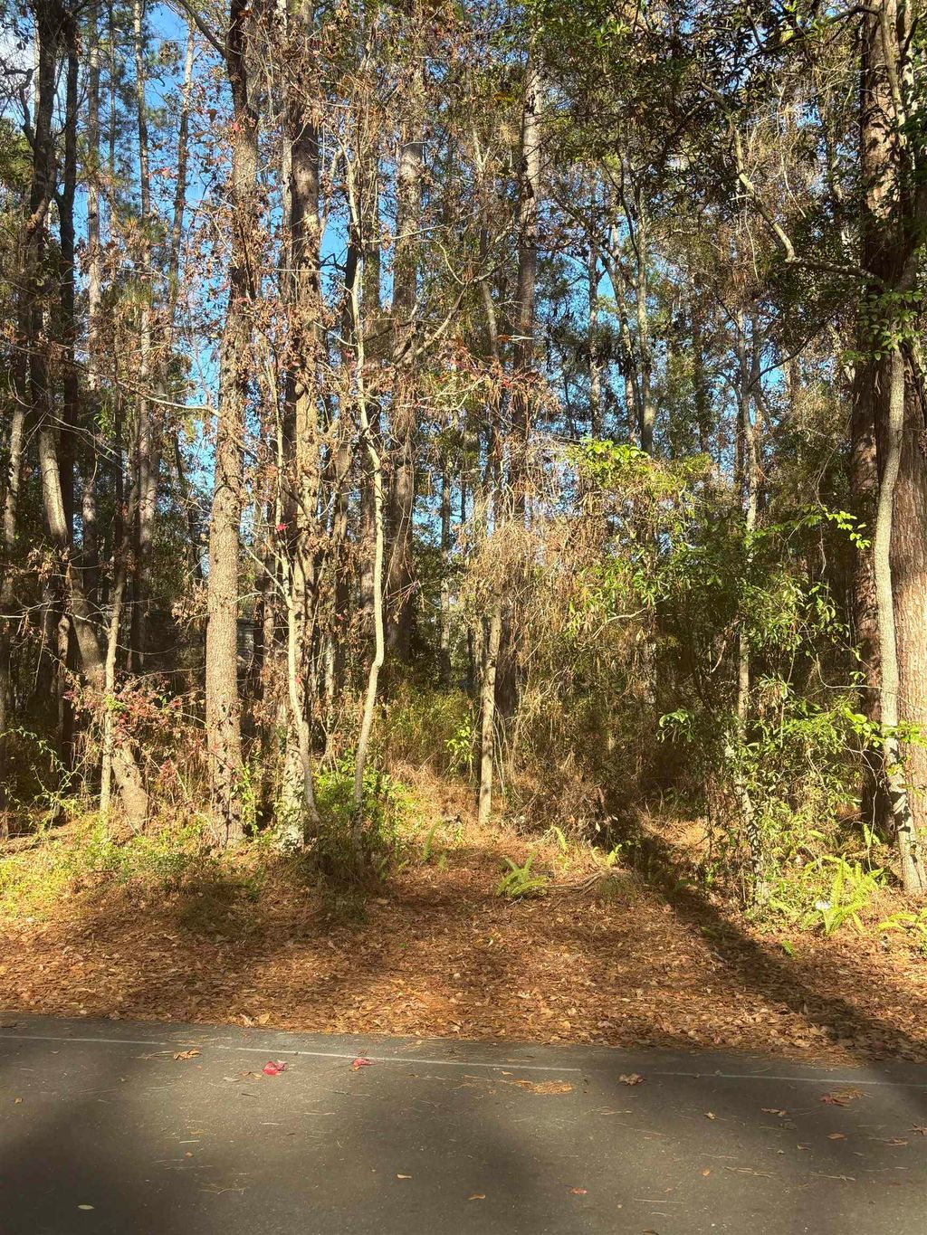 Photo of 3355 Micanopy Trail, Tallahassee, FL 32312 (MLS # 394375)