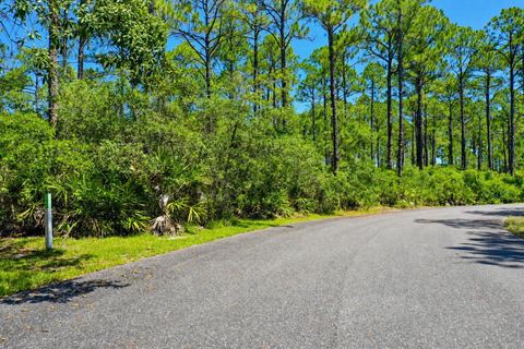 Tiny photo for 142 Winding Trail Way, St Teresa, FL 32358 (MLS # 401693)