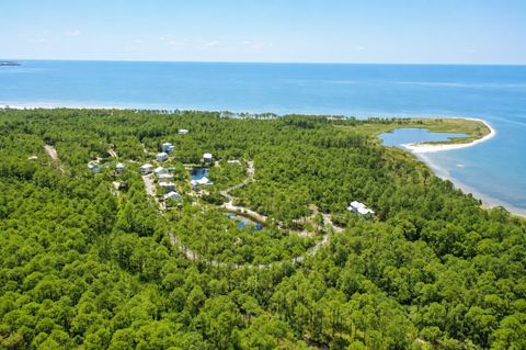 Tiny photo for 142 Winding Trail Way, St Teresa, FL 32358 (MLS # 401693)