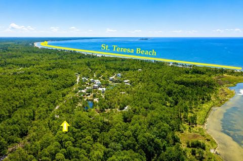 Photo of 142 Winding Trail Way, St Teresa, FL 32358 (MLS # 401693)