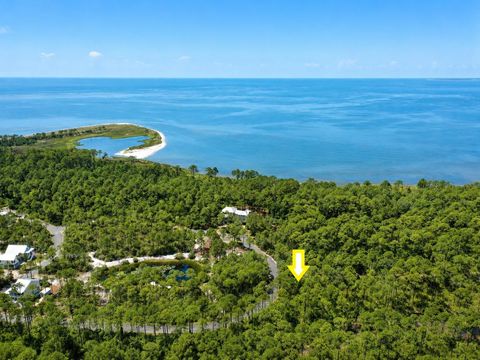 Tiny photo for 142 Winding Trail Way, St Teresa, FL 32358 (MLS # 401693)
