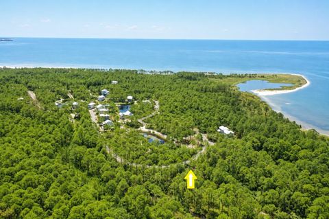 Tiny photo for 142 Winding Trail Way, St Teresa, FL 32358 (MLS # 401693)