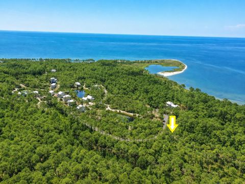 Tiny photo for 142 Winding Trail Way, St Teresa, FL 32358 (MLS # 401693)