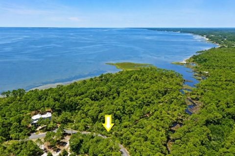 Tiny photo for 142 Winding Trail Way, St Teresa, FL 32358 (MLS # 401693)