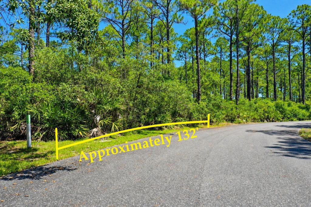 Photo of 142 Winding Trail Way, St Teresa, FL 32358 (MLS # 401693)