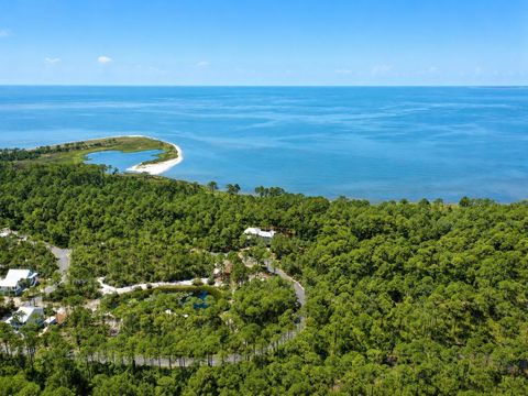 Tiny photo for 142 Winding Trail Way, St Teresa, FL 32358 (MLS # 401693)