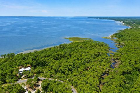 Tiny photo for 142 Winding Trail Way, St Teresa, FL 32358 (MLS # 401693)