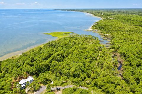 Tiny photo for 142 Winding Trail Way, St Teresa, FL 32358 (MLS # 401693)