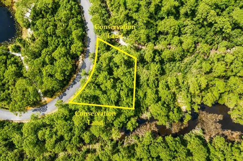 Tiny photo for 142 Winding Trail Way, St Teresa, FL 32358 (MLS # 401693)