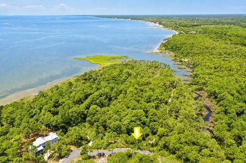 Tiny photo for 142 Winding Trail Way, St Teresa, FL 32358 (MLS # 401693)