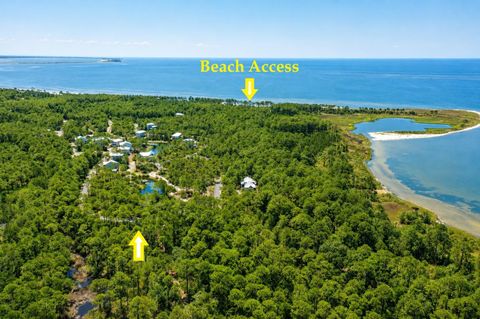 Tiny photo for 142 Winding Trail Way, St Teresa, FL 32358 (MLS # 401693)