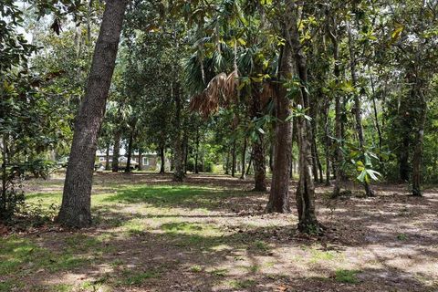 Tiny photo for 1710 SE First Street, Steinhatchee, FL 32359 (MLS # 396167)
