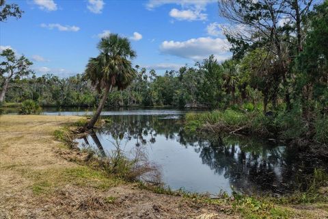 Tiny photo for 1710 SE First Street, Steinhatchee, FL 32359 (MLS # 396167)