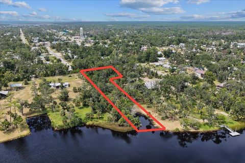 Tiny photo for 1710 SE First Street, Steinhatchee, FL 32359 (MLS # 396167)
