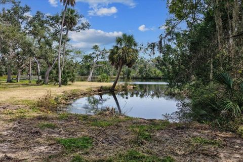 Tiny photo for 1710 SE First Street, Steinhatchee, FL 32359 (MLS # 396167)