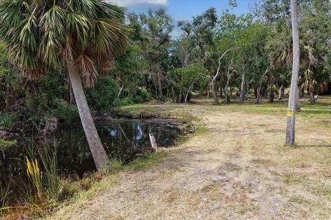Tiny photo for 1710 SE First Street, Steinhatchee, FL 32359 (MLS # 396167)