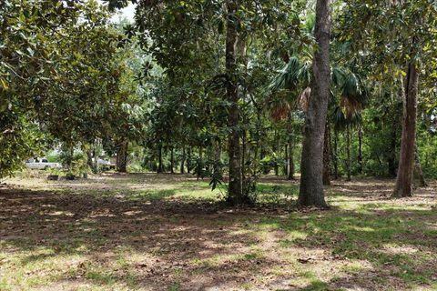 Tiny photo for 1710 SE First Street, Steinhatchee, FL 32359 (MLS # 396167)