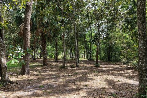 Tiny photo for 1710 SE First Street, Steinhatchee, FL 32359 (MLS # 396167)