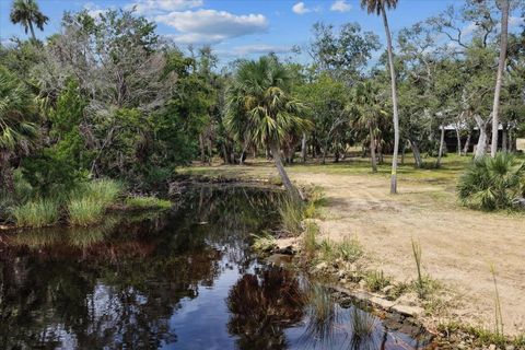 Tiny photo for 1710 SE First Street, Steinhatchee, FL 32359 (MLS # 396167)