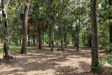 Tiny photo for 1710 SE First Street, Steinhatchee, FL 32359 (MLS # 396167)