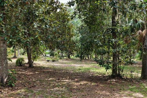 Tiny photo for 1710 SE First Street, Steinhatchee, FL 32359 (MLS # 396167)