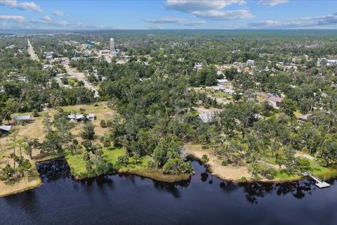 Tiny photo for 1710 SE First Street, Steinhatchee, FL 32359 (MLS # 396167)