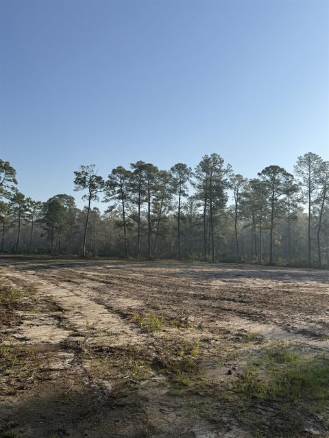 Tiny photo for Lot 81 Proctor Road, Tallahassee, FL 32309 (MLS # 397552)