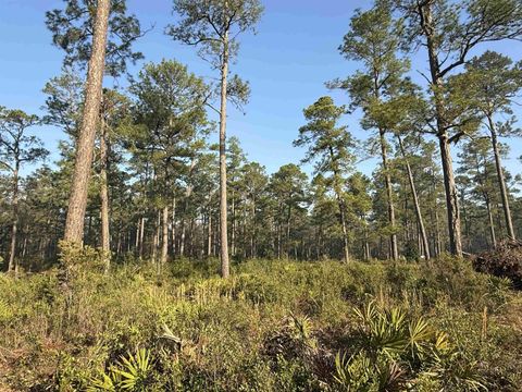 Tiny photo for Lot 81 Proctor Road, Tallahassee, FL 32309 (MLS # 397552)