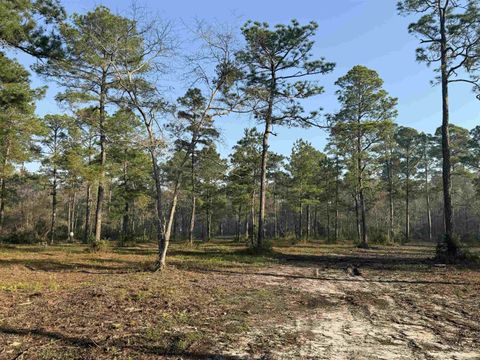 Tiny photo for Lot 81 Proctor Road, Tallahassee, FL 32309 (MLS # 397552)