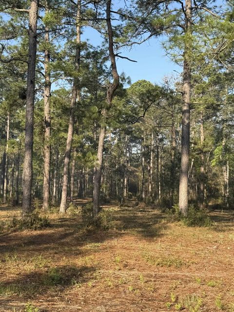 Tiny photo for Lot 81 Proctor Road, Tallahassee, FL 32309 (MLS # 397552)