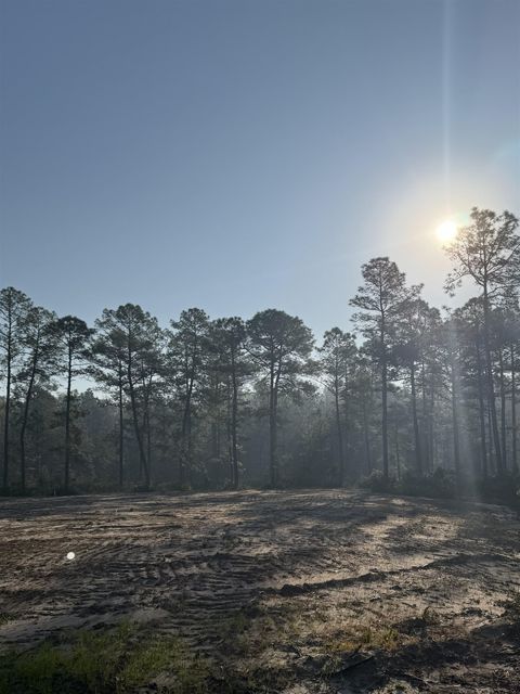 Tiny photo for Lot 81 Proctor Road, Tallahassee, FL 32309 (MLS # 397552)