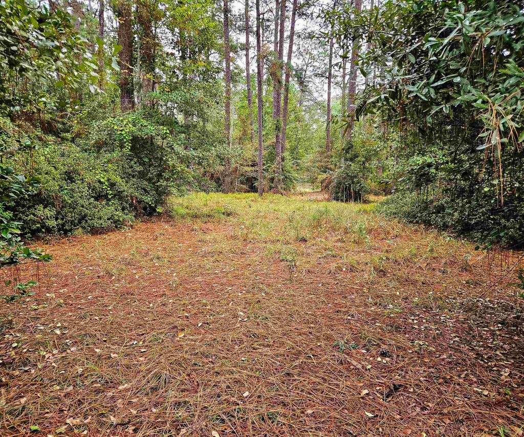 Photo of x Pinewood Place, Other Georgia, GA 31792 (MLS # 392681)