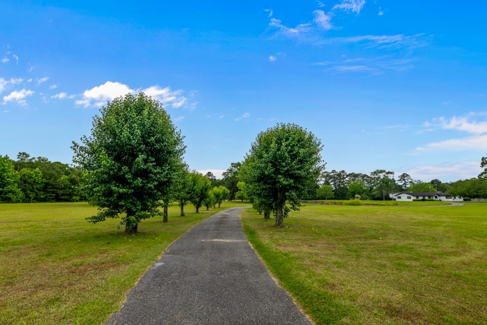 9778 Florida-Georgia Highway