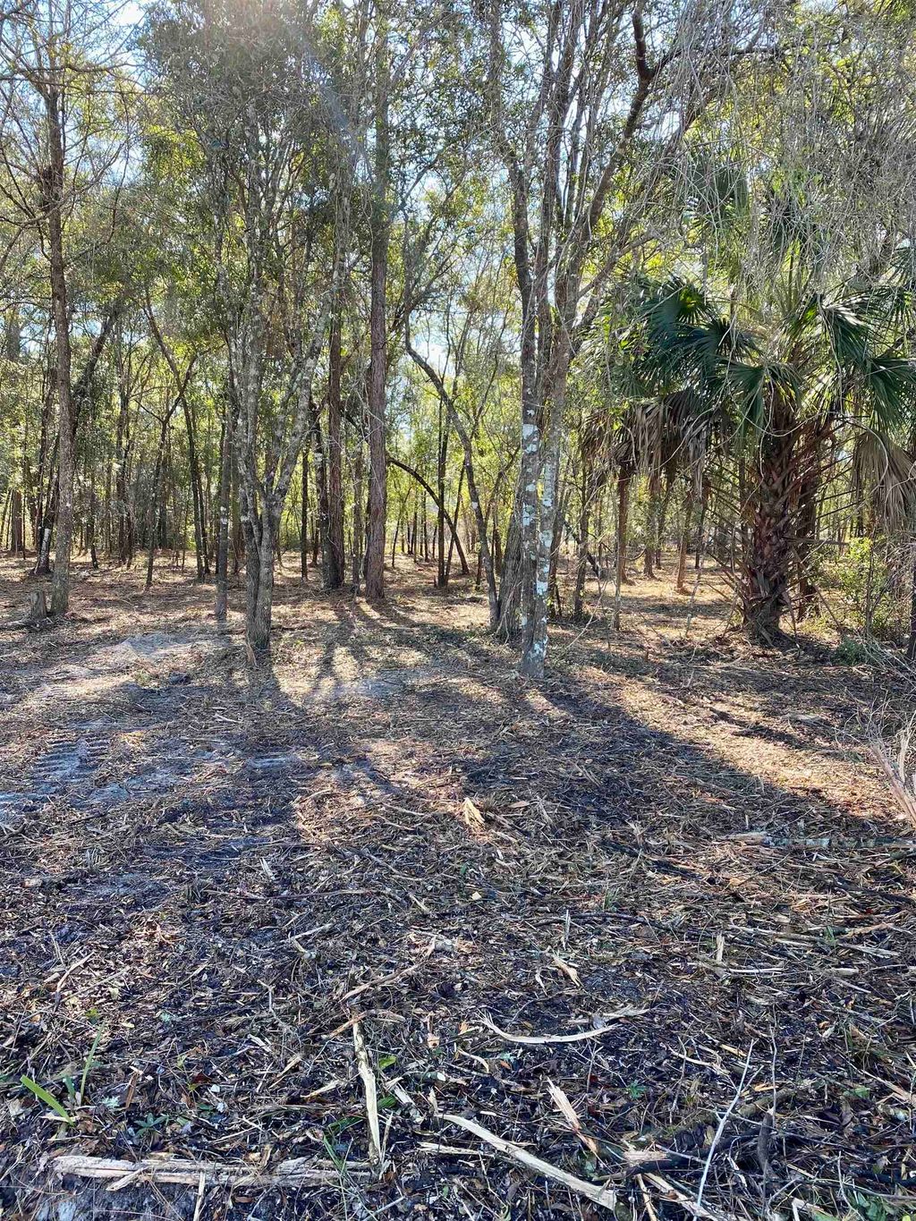 Photo of xx McCallister Road, Crawfordville, FL 32327 (MLS # 402385)