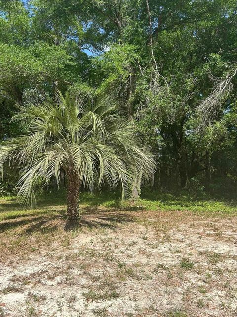 Tiny photo for 5002 Pryor Court, Tallahassee, FL 32303 (MLS # 385114)